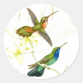 Goulds' Hummingbirds Stickers (Vorderseite)