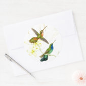 Goulds' Hummingbirds Stickers (Umschlag)