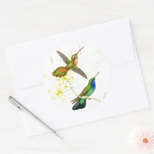 Goulds' Hummingbirds Stickers (Umschlag)