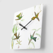 Goulds Hummingbirds Wall Clock Quadratische Wanduhr (Winkel)