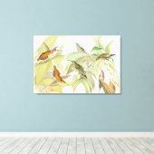 Goulds Hummingbirds Wrapped Canvas Print Leinwanddruck (Insitu (Holzboden))