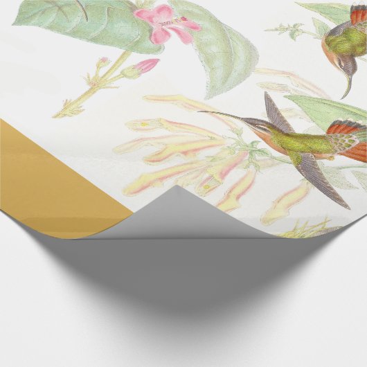 Goulds Kolibri-Packpapier Geschenkpapier (Ecke)