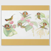 Goulds Kolibri-Packpapier Geschenkpapier (Flach)
