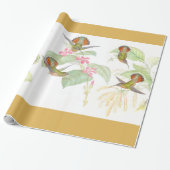 Goulds Kolibri-Packpapier Geschenkpapier (Ungerollt)