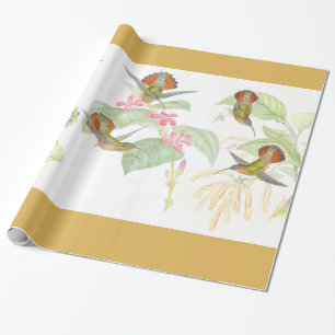 Goulds Kolibri-Packpapier Geschenkpapier