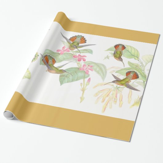 Goulds Kolibri-Packpapier Geschenkpapier (Ungerollt)