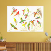 Goulds Lorikeet Papagei Birds Wrapped Canvas Print Leinwanddruck (Insitu (Wohnzimmer))