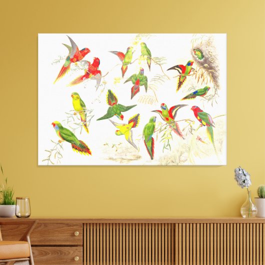 Goulds Lorikeet Papagei Birds Wrapped Canvas Print Leinwanddruck (Insitu (Wohnzimmer))
