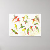Goulds Lorikeet Papagei Birds Wrapped Canvas Print Leinwanddruck (Vorderseite)
