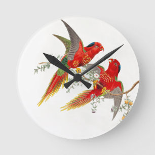 Goulds Lorikeet Vogel-Uhr Runde Wanduhr