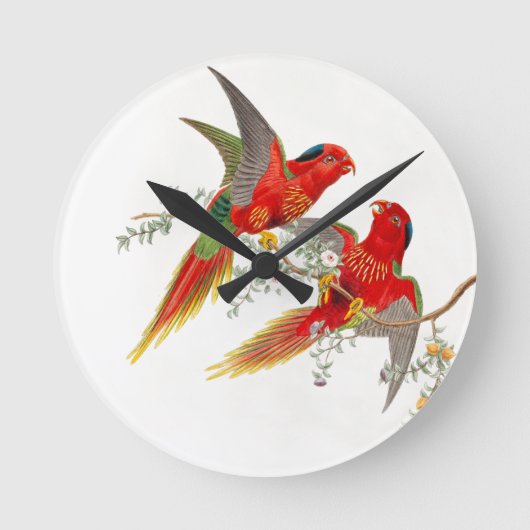 Goulds Lorikeet Vogel-Uhr Runde Wanduhr (Vorderseite)