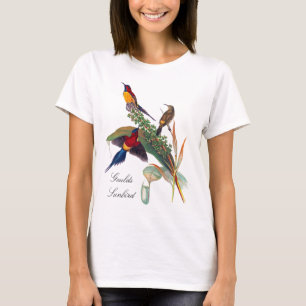 Goulds Sunbird Vintage Illustration durch John T-Shirt