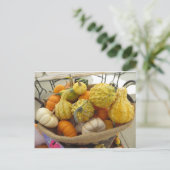 Gourd Basket Postkarte (Stehend Vorderseite)