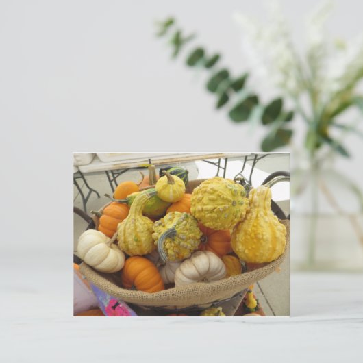 Gourd Basket Postkarte (Stehend Vorderseite)