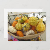 Gourd Basket Postkarte (Vorne/Hinten)