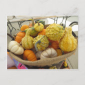 Gourd Basket Postkarte (Vorderseite)