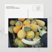 Gourd Collection Postkarte (Vorne/Hinten)