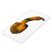 Gourd Foto Magnet (Linke Seite)
