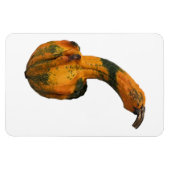 Gourd Foto Magnet (Horizontal)
