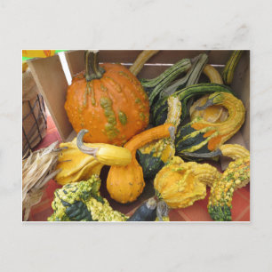 Gourd-Sortiment Postkarte