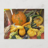 Gourd-Sortiment Postkarte (Vorderseite)