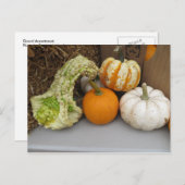 Gourd-Sortiment Postkarte (Vorne/Hinten)