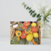 Gourd-Sortiment Postkarte (Stehend Vorderseite)