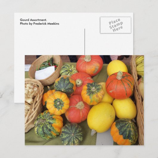 Gourd-Sortiment Postkarte (Vorne/Hinten)