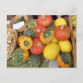 Gourd-Sortiment Postkarte (Vorderseite)