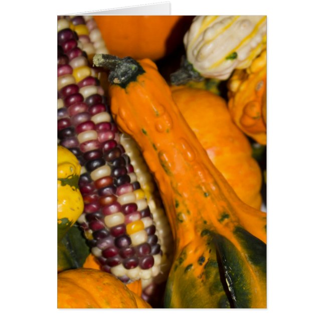 Gourds and Corn Fall Fotografy Blank-Inside Card (Vorne)