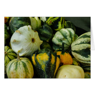 Gourds Galore