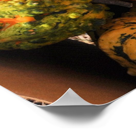 Gourds Galore! -Poster Poster (Ecke)