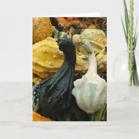 Gourds Karte (Vorderseite)