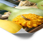 Gourds Maisstalks Stand Herbst Poster (Ecke)