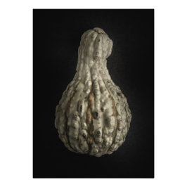 Gourds No 8 Color Version Fotodruck
