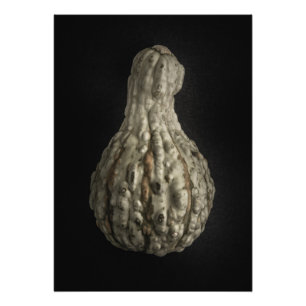 Gourds No 8 Color Version Fotodruck