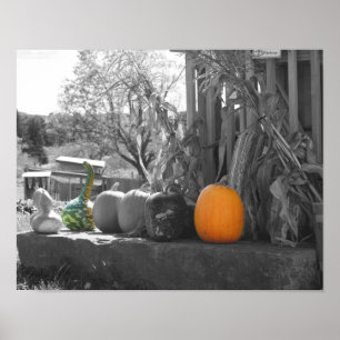 Gourds Pumpkins Cornstalks teilweise Farbe Poster