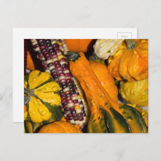 Gourds und Corn Fall Food Fotografie Postkarte (Vorne/Hinten)