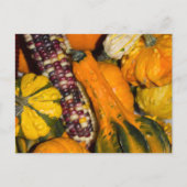 Gourds und Corn Fall Food Fotografie Postkarte (Vorderseite)