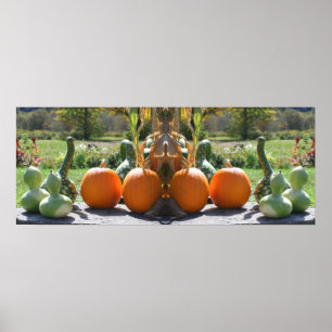 Gourds und Pumpkins Fall Mirror Abstrakt Poster