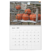 Gourds und Pumpkins Fotografie Kalender (Mär 2027)