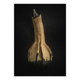 Gourmet Nr. 5 Farbversion Fotodruck