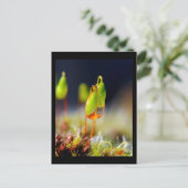 Gouttes d'eau" postkarte (Stehend Vorderseite)