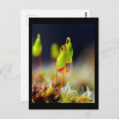 Gouttes d'eau" postkarte (Vorne/Hinten)