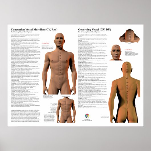 Governing Meridian Acupuncture Points Poster (Vorne)