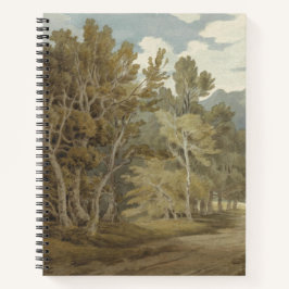 Gowbarrow Park, Ullswater (von John White Abbott) Notizblock