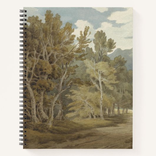 Gowbarrow Park, Ullswater (von John White Abbott) Notizblock (Vorderseite)