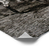 Goya - Bull Poster (Ecke)