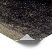 Goya - Der Drucker Gaulon Poster (Ecke)