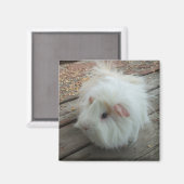 GP Magnet (Vorderseite/Rückseite)